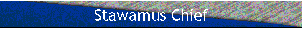 Stawamus Chief